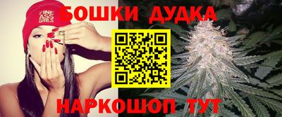 PSILOCYBIN Краснокаменск
