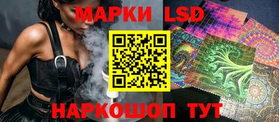a pvp Краснознаменск