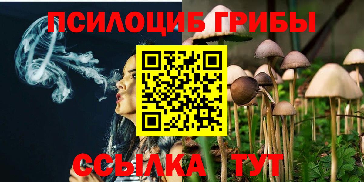 Елизово  Галлюциногенные грибы Magic Shrooms  Вход с VPN 