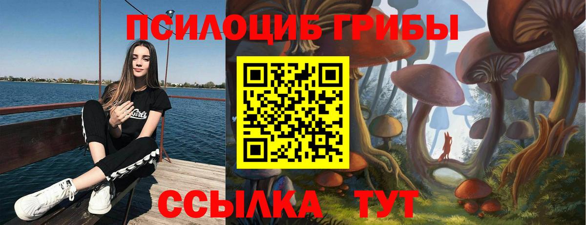 Галлюциногенные грибы Psilocybe Елизово